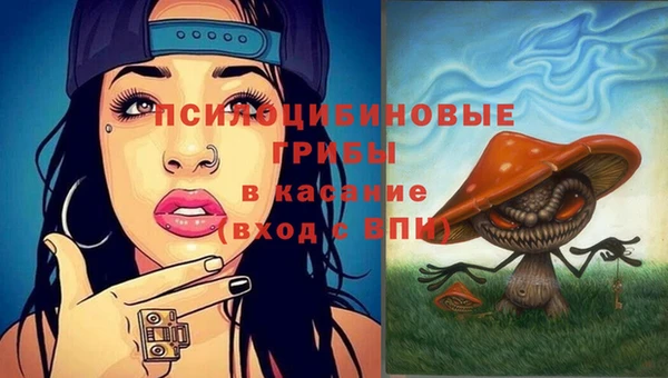 СК Медногорск