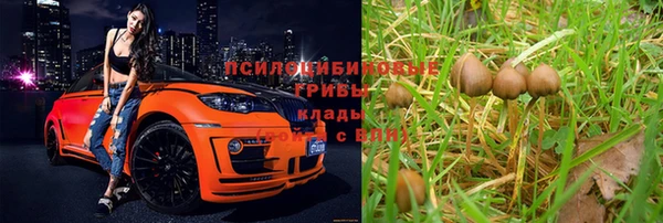 СК Медногорск