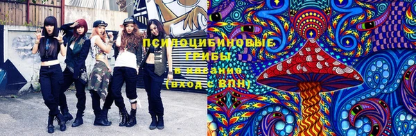 шишки Абдулино